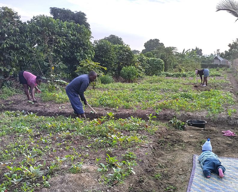 Jobs im Heilkr&auml;utergarten 2