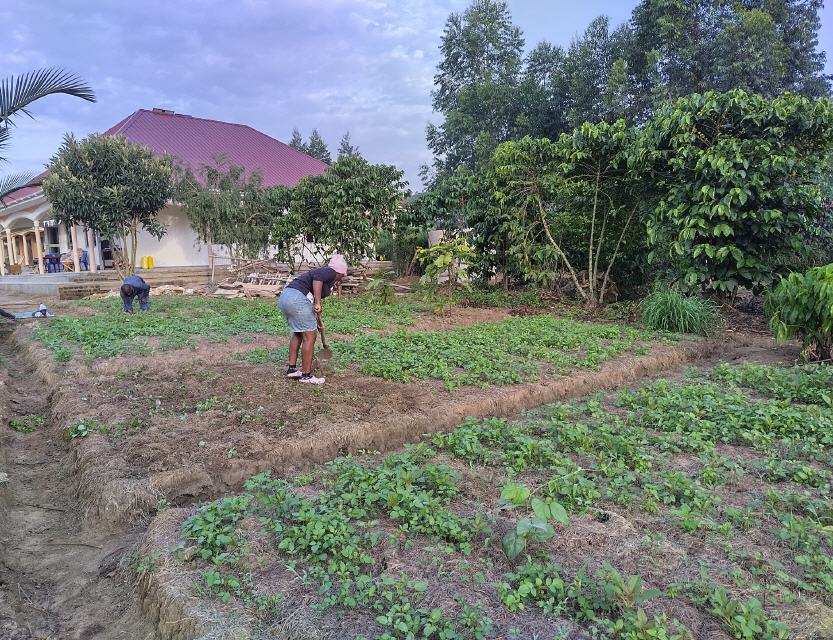 Jobs im Heilkr&auml;utergarten