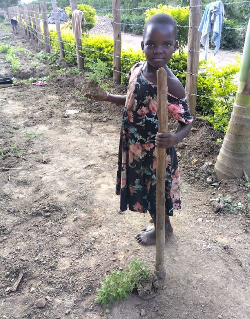 Artemisia 10: Schulkinder helfen mit