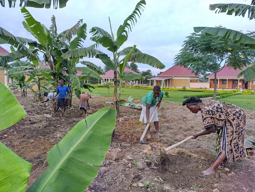 Artemisia 5: Lernende bei der Arbeit