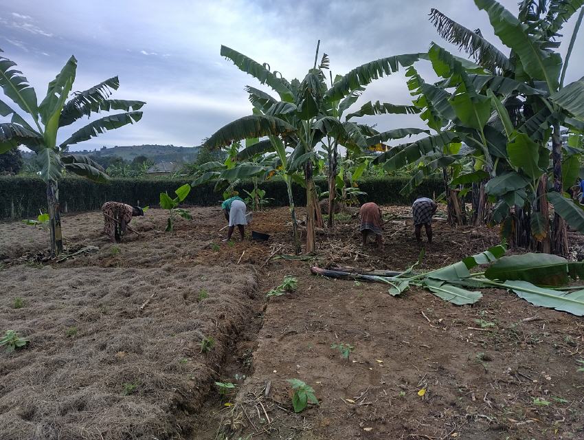 Artemisia 6: Neuer Garten