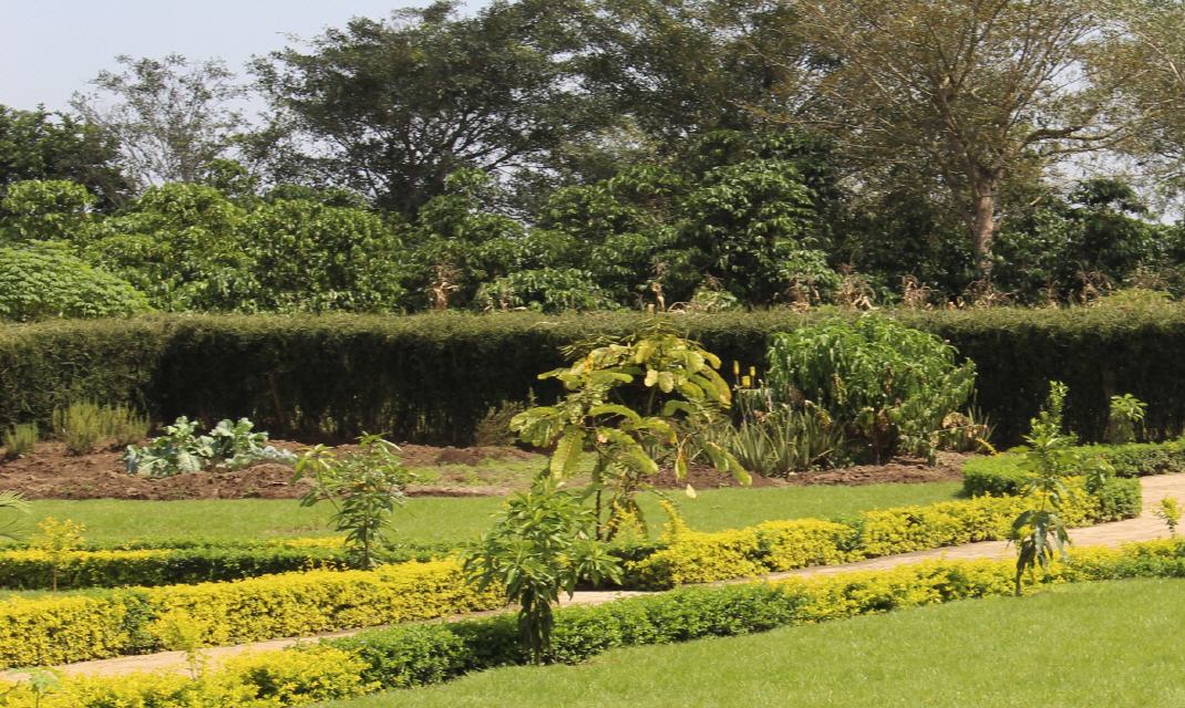 Artemisia 9: Kr&auml;utergarten S&uuml;d